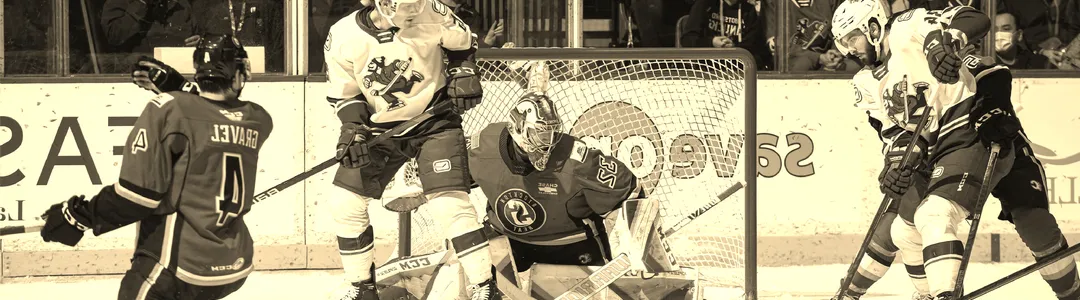 Abbotsford Canucks