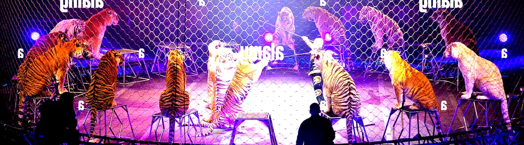 Ringling Bros. and Barnum & Bailey Circus