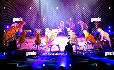 Ringling Bros. and Barnum & Bailey Circus