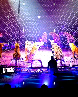 Ringling Bros. and Barnum & Bailey Circus