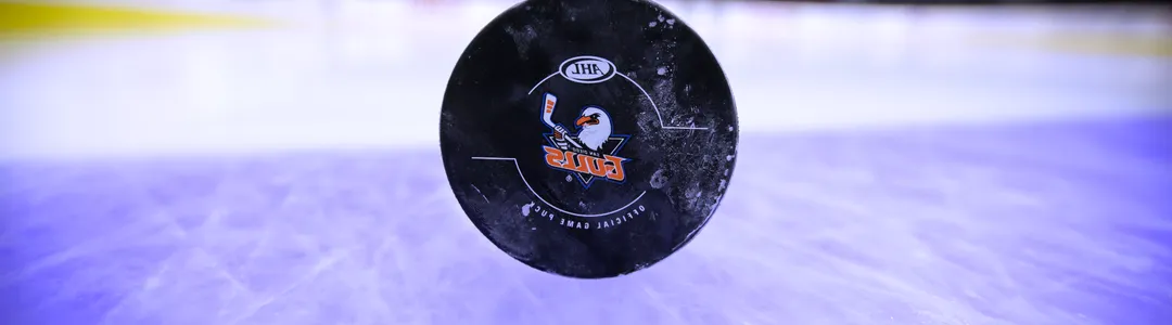 San Diego Gulls