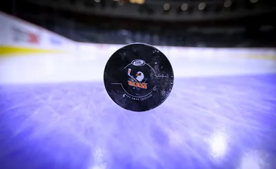 San Diego Gulls